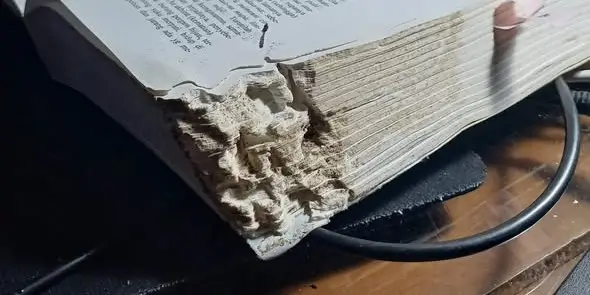 buku-dimakan-rayap buku-dimakan-rayap